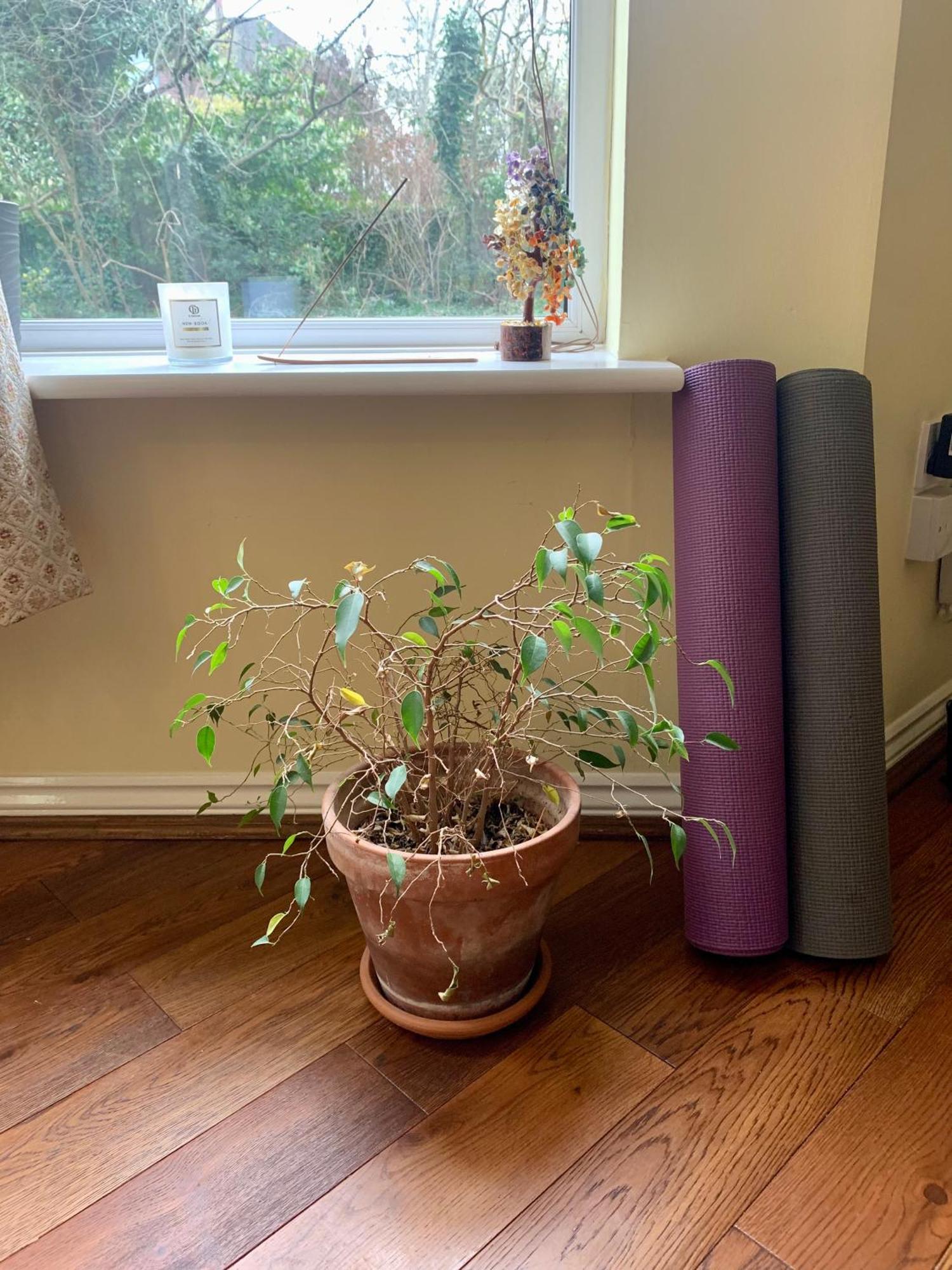 Peaceful Garden View Apt. Close To Central 런던 외부 사진